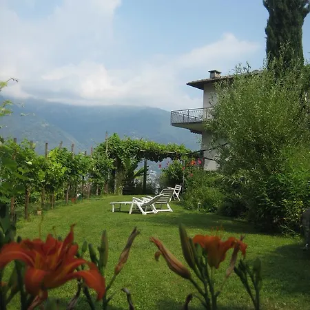 Casa Lucertola