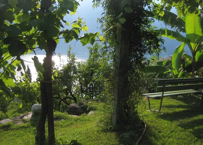 Casa Lucertola Daire